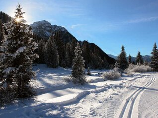 Langlauf-Urlaub in den Dolomiten