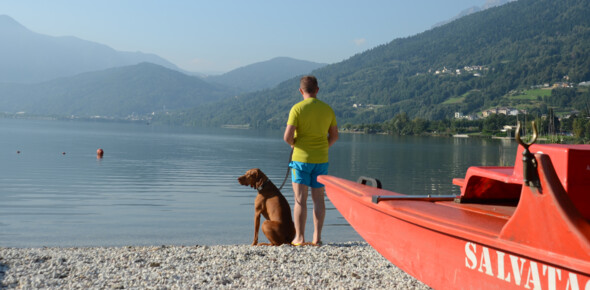 Dog friendly beaches