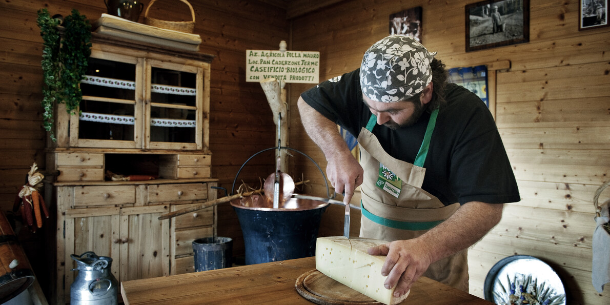 F&A Trentino | Wo liegt das Trentino? Wofür ist das Trentino berühmt?