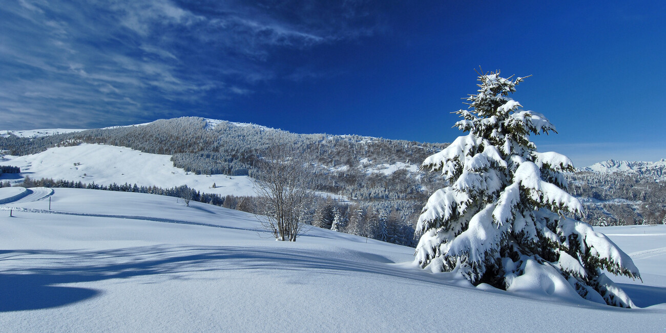 Riserva integrale Tre Cime del Monte Bondone #2