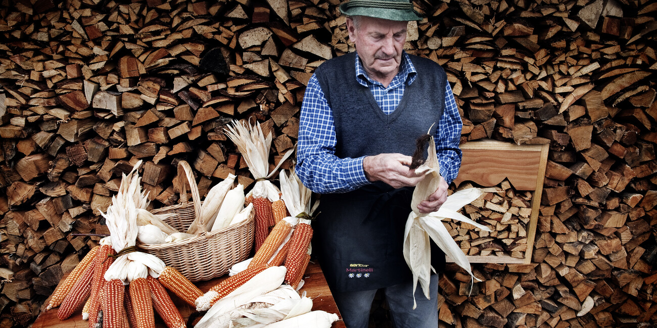 Centa San Nicolò #3