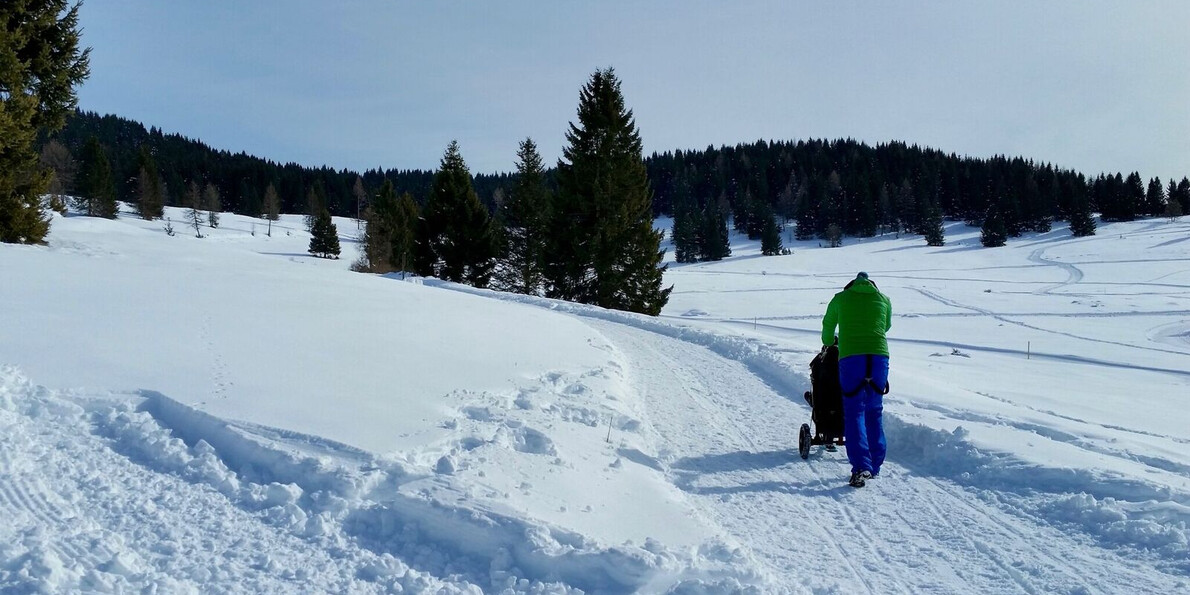 With the strollers on the snow |Baby trekking in winter