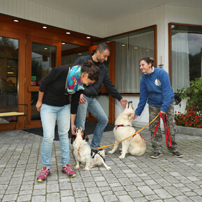 Serve un Dog Sitter?