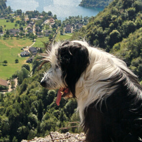 Ledro Land Art: arte all’aria aperta