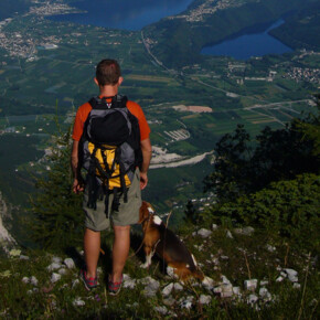 Passeggiata con cane al Pizzo di Levico
