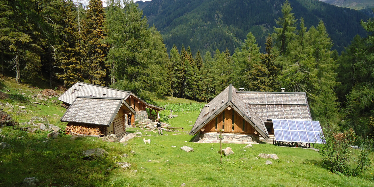 WWF-Oase Valtrigona  #3 | © Oasi Valtrigona - photo Associazione WWF Trentino