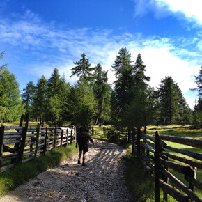 Castelfondo - Borgo d'Anaunia