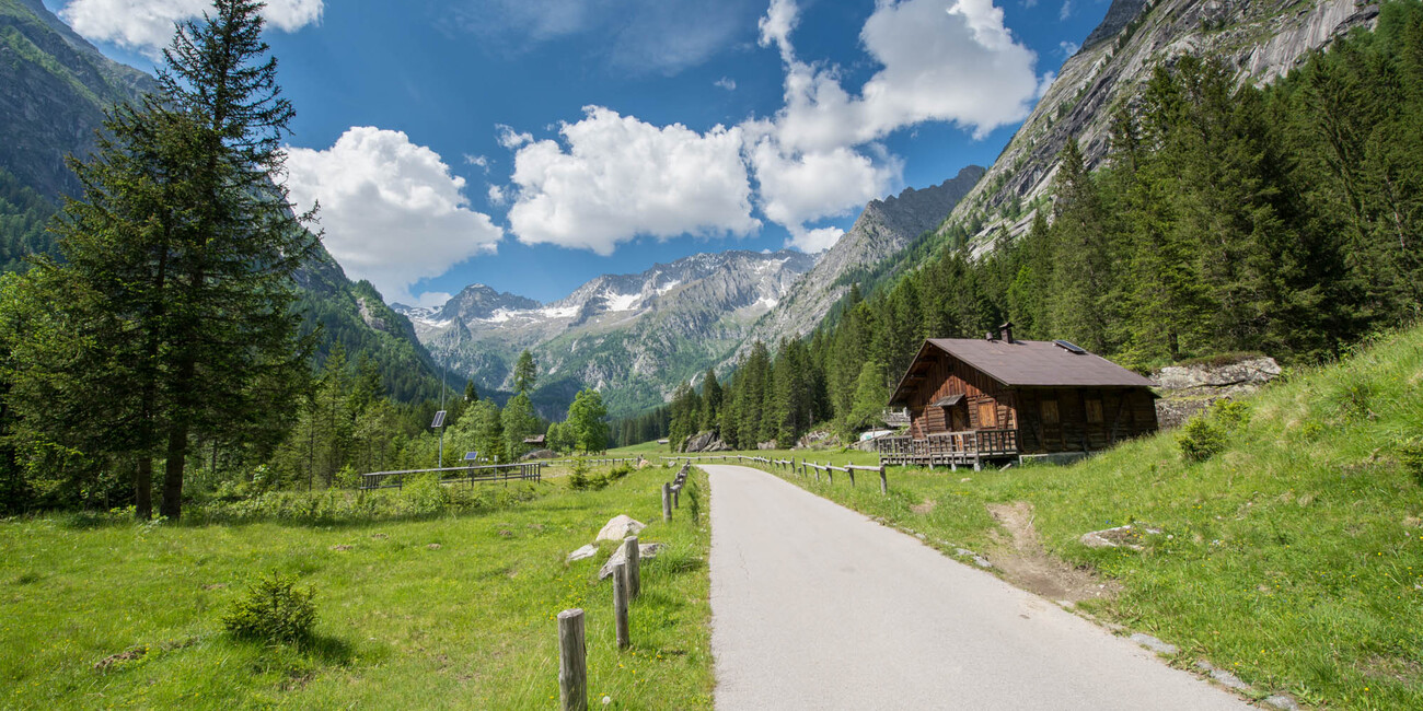 Val Genova  #4 | © Foto Archivio Apt