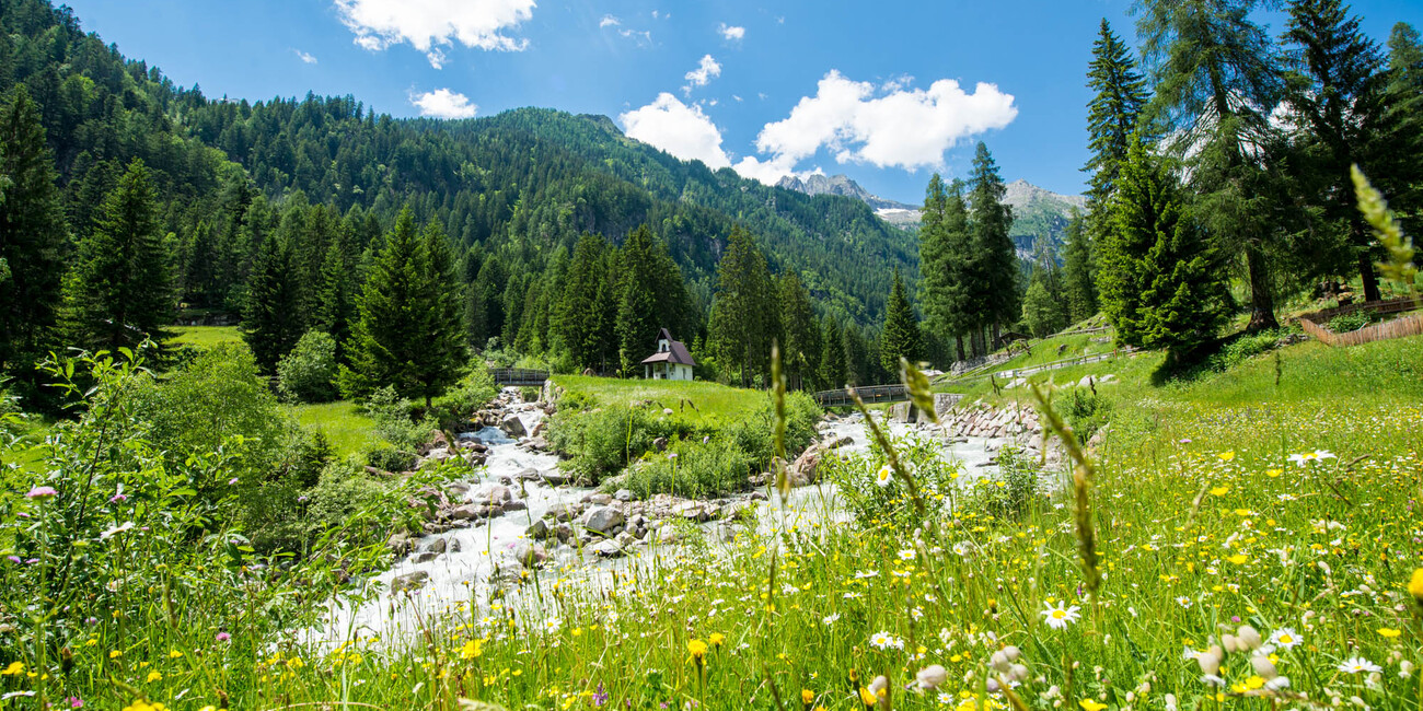 Val Genova  #2 | © Foto Archivio Apt