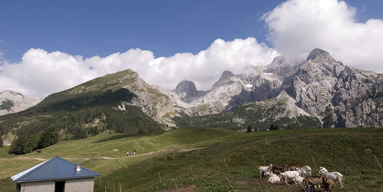 Val d'Algone   #4