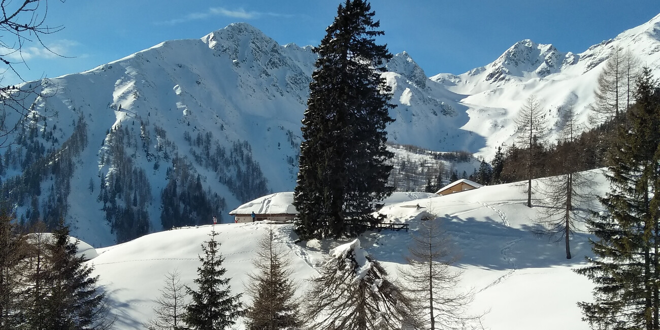 Rumo #1 | © APT Val di Non  - Panorama invernale