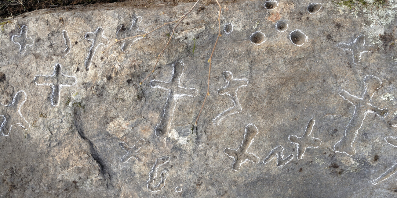 Terzolas #2 | © APT Val di Sole - Sassi coppellati a Terzolas - ph. Ass. Val di Sole Antica