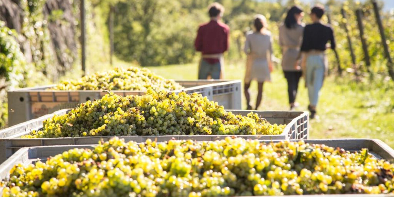 Nave San Rocco  #2 | © photo Pillow Lab