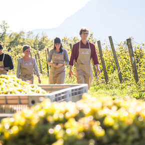 Kulinarische Festivals