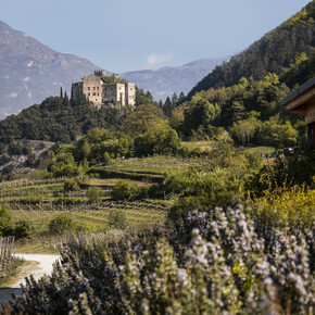 Urlaub im Frühling in den Dolomiten