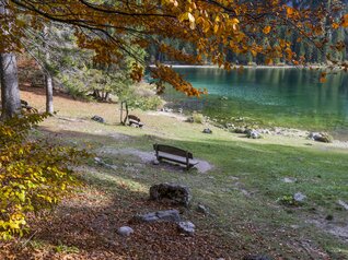 Il lago di Tovel si trova vicino a Trento