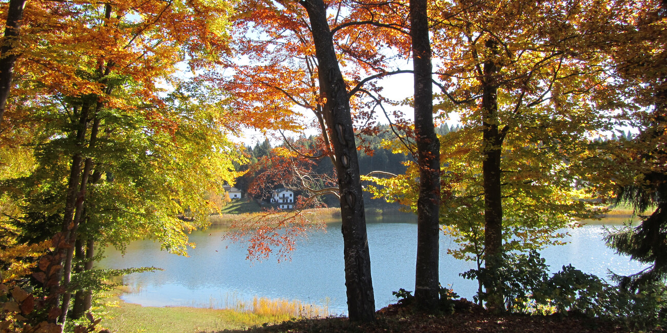 Lago Santo  #5 | © Lago Santo - APT Piné Cembra - ph. Annamaria Pascali