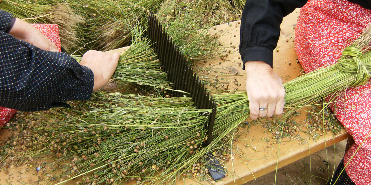 Das Ökomuseum vom Val di Pejo #1 | © Foto Archivio Apt Val di Sole