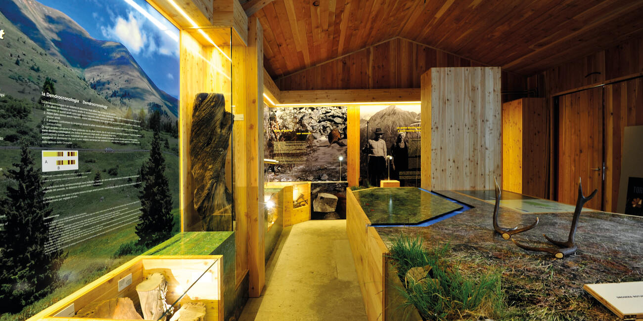 Torfmoor Tonale #3 | © Torbiera del Tonale - Foto Archivio Apt Val di Sole