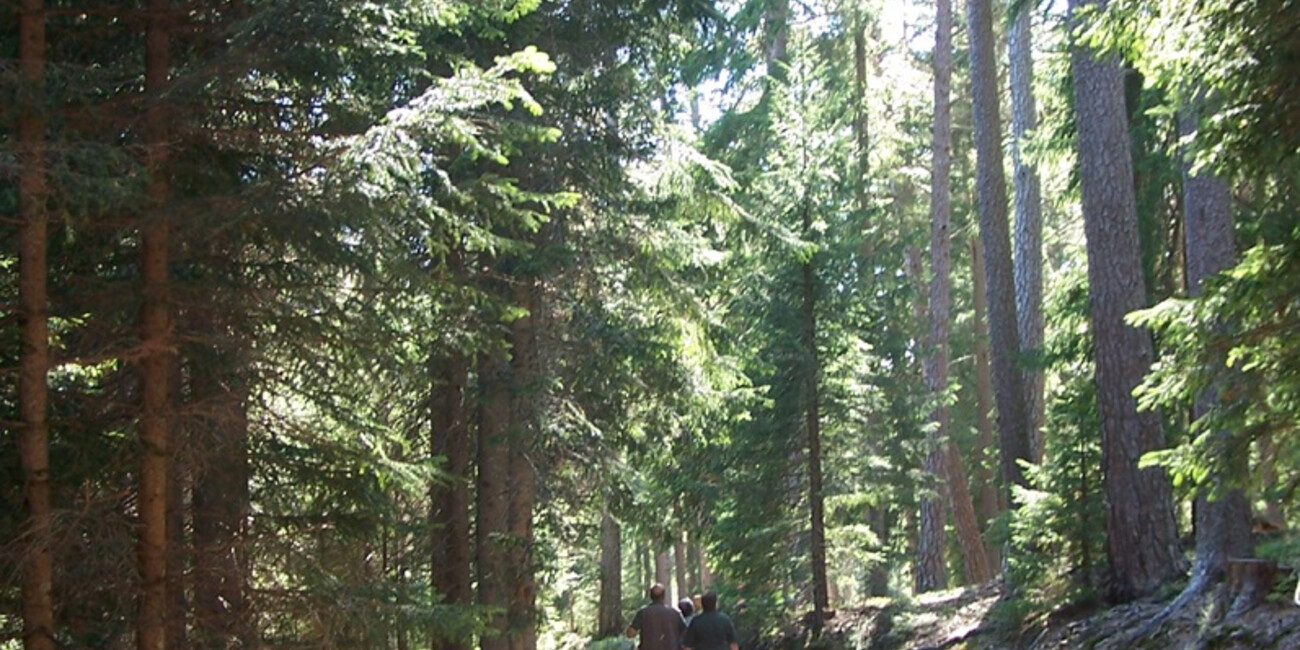 Gedächtnispfad #5 | © Foto Archivio Apt Val di Fiemme