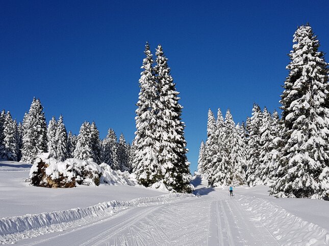 Centro Fondo Passo Coe | © Foto SuperNordic Skipass