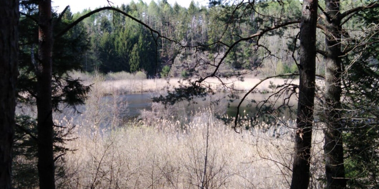 Biotopo Laghestel #1