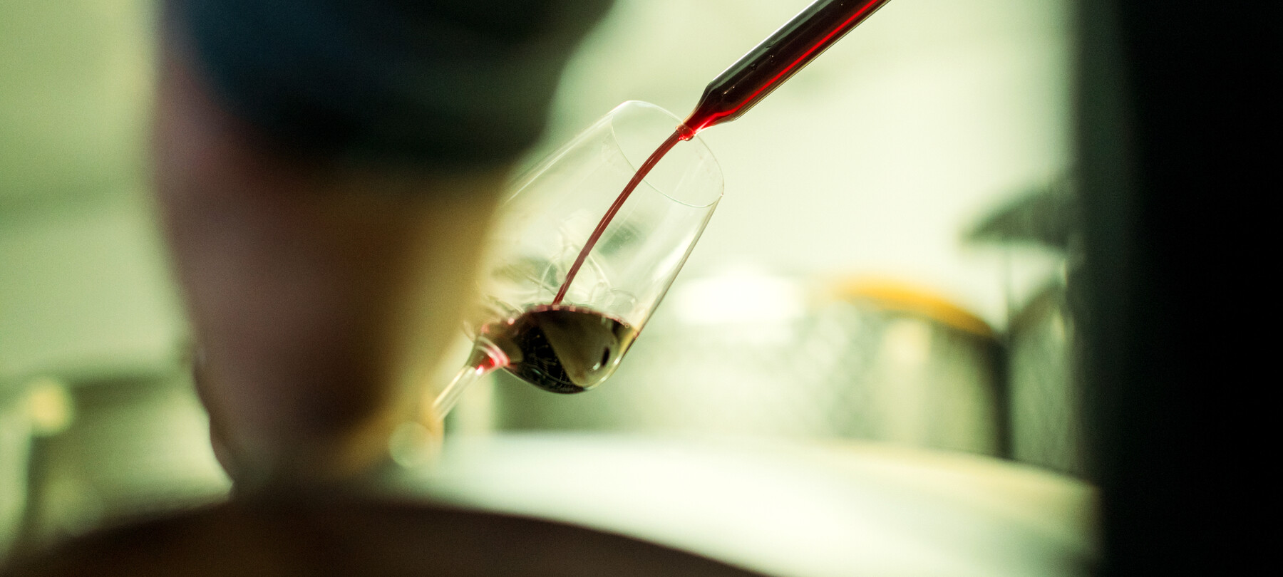 La coltivazione dei vigneti resistenti in Trentino