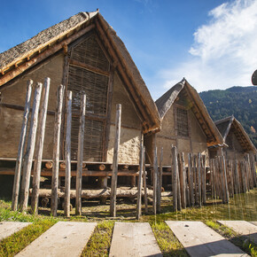 Eine Reise durch die Vorzeit