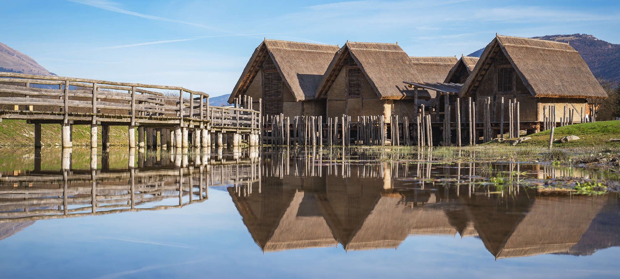 Viaggio nella preistoria