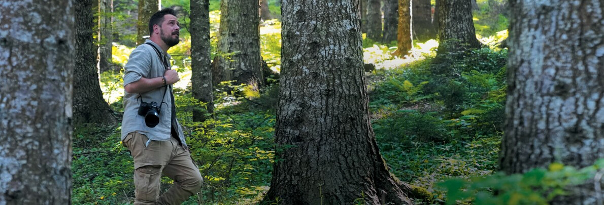Stories of life in Trentino