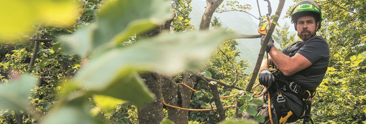 Stories of life in Trentino