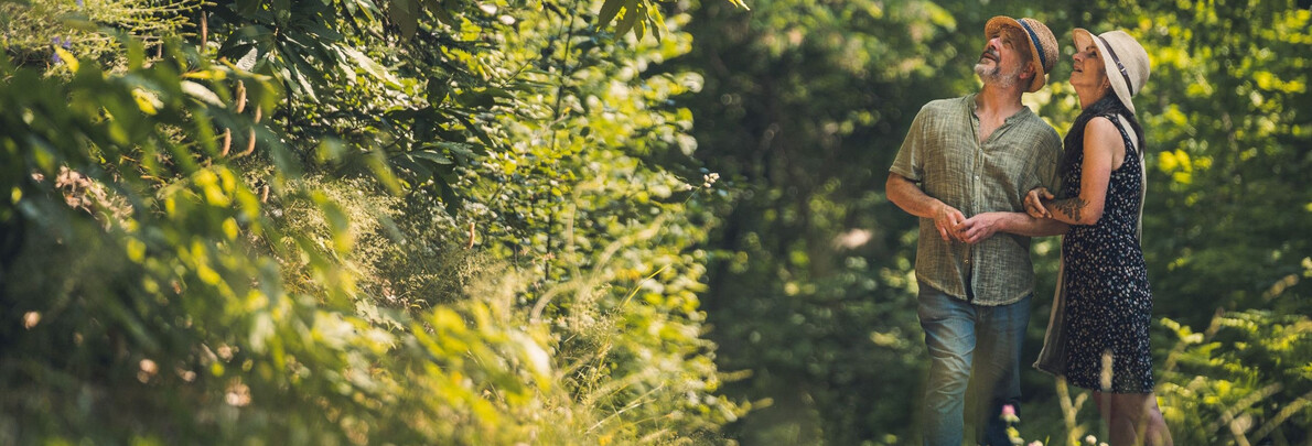 Stories of life in Trentino