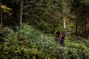 796 "Tour Selvapiana" | © APT Dolomiti di Brenta e Paganella