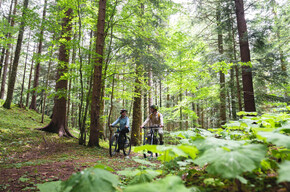 797 "Tour Cavedago" | © APT Dolomiti di Brenta e Paganella