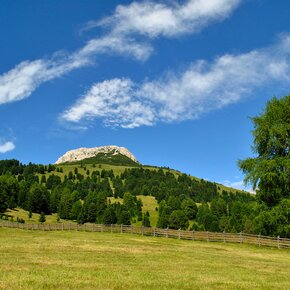 Passo Oclini - tra Weiß- e Schwarzhorn | © APT Fiemme Cembra