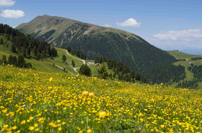 Pampeago | © APT Fiemme Cembra