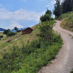 Paesaggio della loc. Ai Magri nel tratto finale del percorso | © APT Valsugana e Lagorai