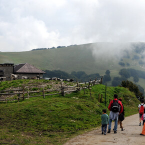 Spaziergang über die Almenwiesen von Malga Susine | © APT Rovereto Vallagarina Monte Baldo