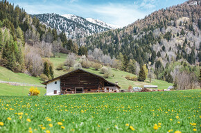 Frühling in Bellamonte | © APT Fiemme Cembra