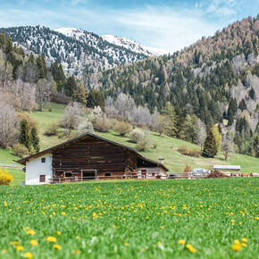 Frühling in Bellamonte | © APT Fiemme Cembra