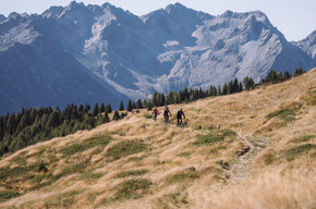 Trail Malga Campo No. 707 | © APT Valli di Sole, Peio e Rabbi