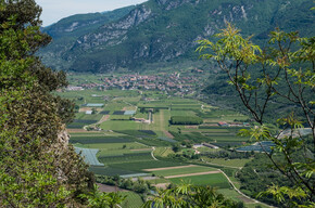 Campagna di Arco | © Garda Trentino