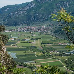 Campagna di Arco | © Garda Trentino