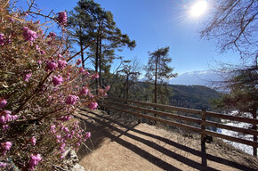 Der Panoramaweg von Smarano | © APT Val di Non 