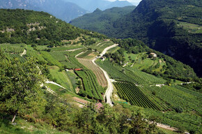 Talpina - Area Protetta del Monte Baldo | © APT Rovereto Vallagarina Monte Baldo