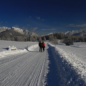 Parte del percorso Solombo | © APT Fiemme Cembra