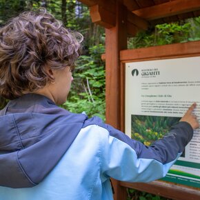 Sentiero dei Giganti | © Azienda per il Turismo Alpe Cimbra
