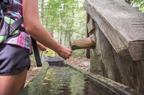Il Sentiero delle Sorgenti | © Azienda per il Turismo Alpe Cimbra