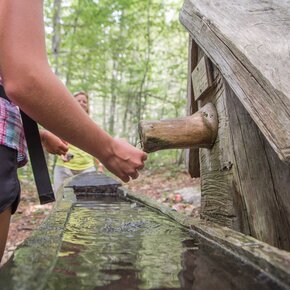 Sentiero delle Sorgenti - Il percorso delle sorgenti | © Azienda per il Turismo Alpe Cimbra