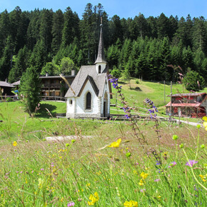 Wanderung zum Monte Vederna – Croce degli Alpini | © VisitTrentino